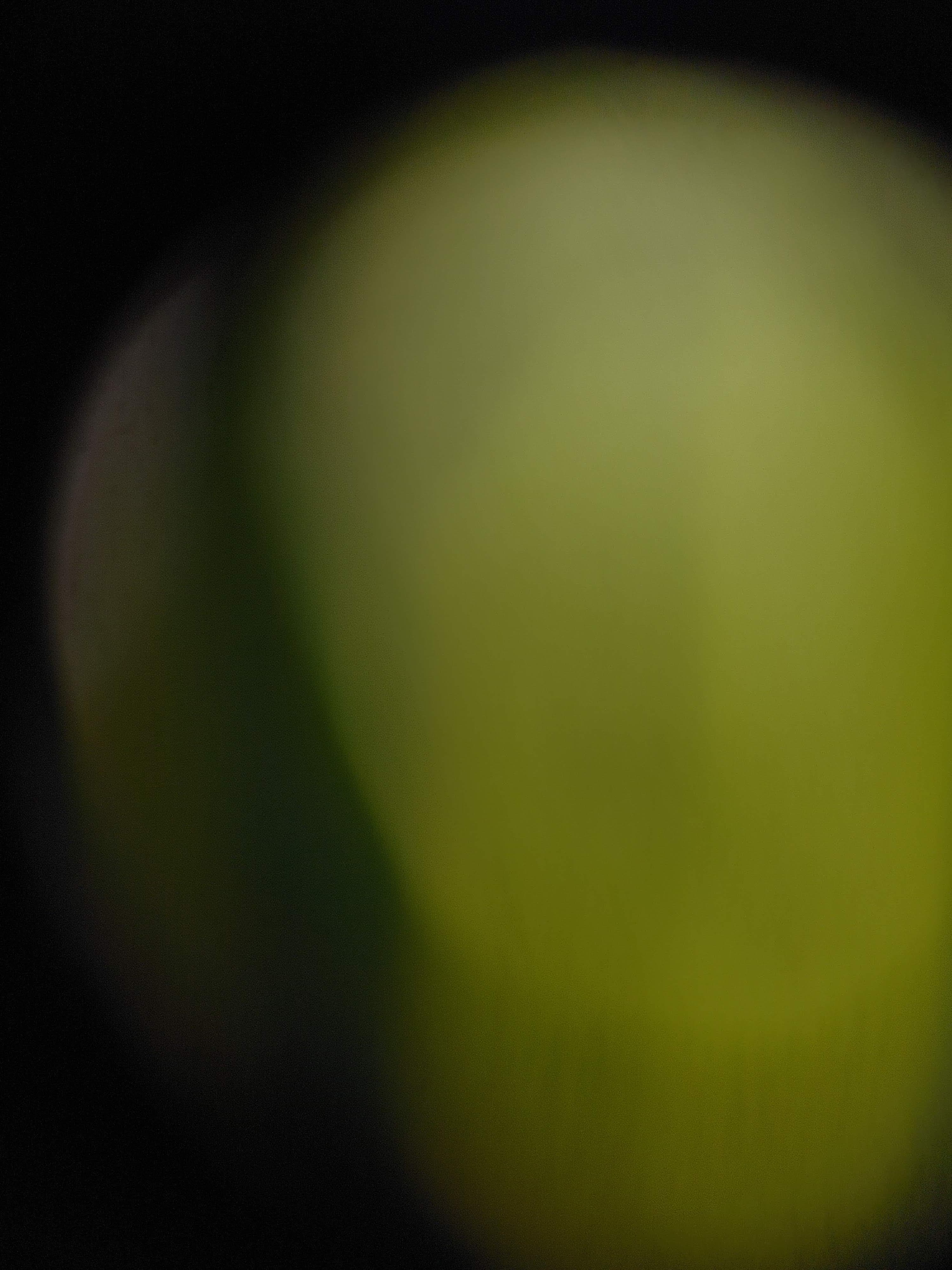 Blurry photo with a shape that's a bit like a head